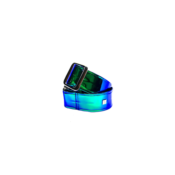 Get'm Get'm Chrome Earth