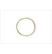 ico 2