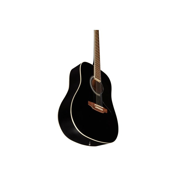 Eko Guitars Ranger 6 Black