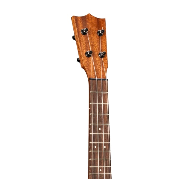 Martin &amp; Co. Centennial Concert Uke