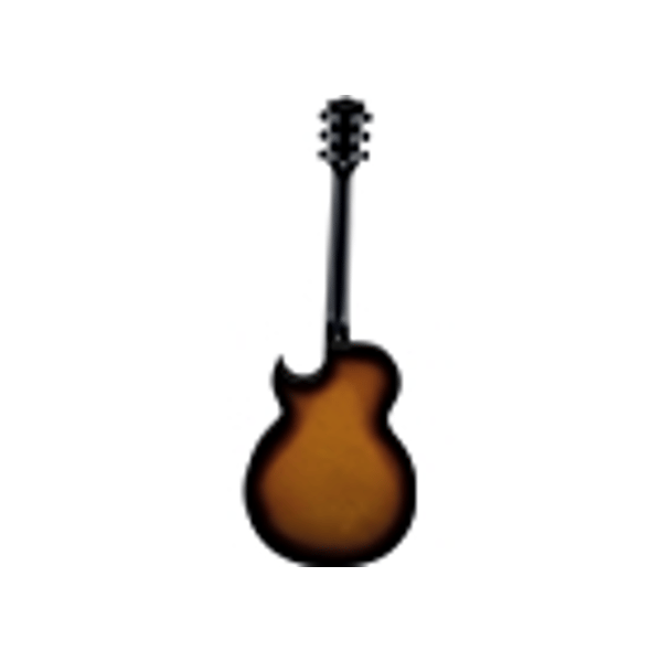 Eko Guitars SA 750
