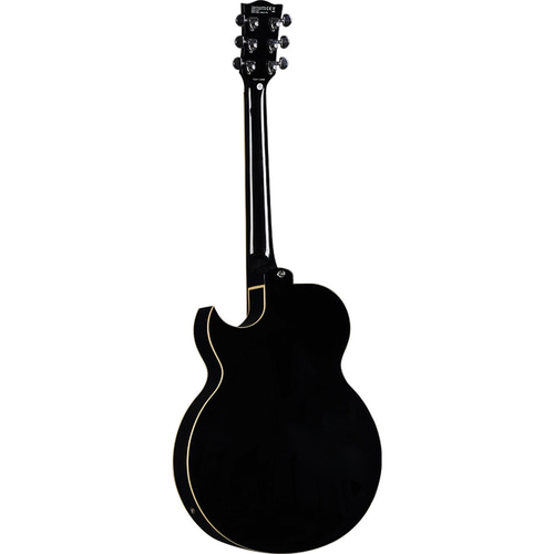 Eko Guitars Jazz Gold