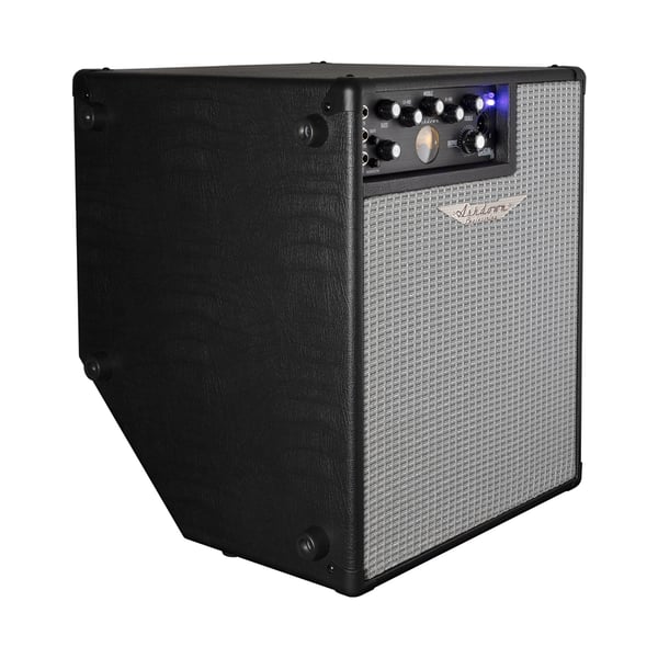 Ashdown ORIGINAL EVO C112-300