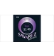 ico 2