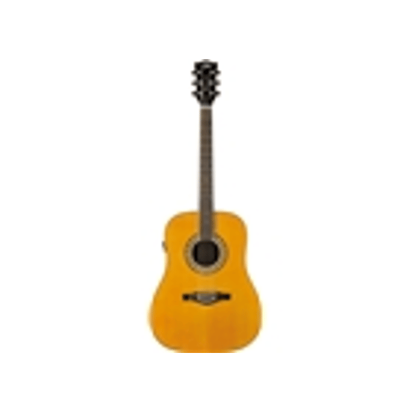 Eko Guitars Ranger Futura