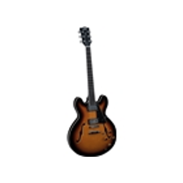 Eko Guitars SA 350