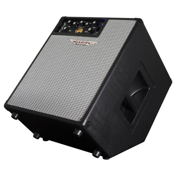 Ashdown ORIGINAL EVO C112-300