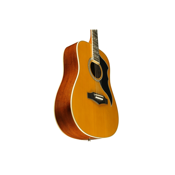 Eko Guitars Ranger VI VR Eq Natural Top Stained