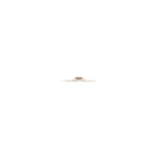 Zildjian A0611-11" FX Trash Splash