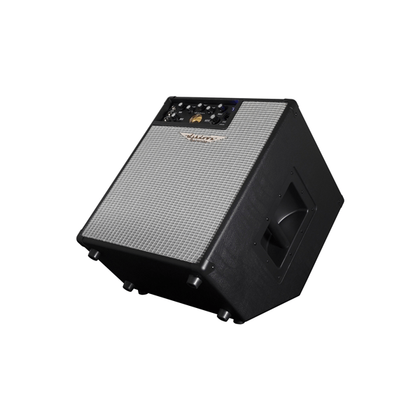 Ashdown ORIGINAL EVO C112-300