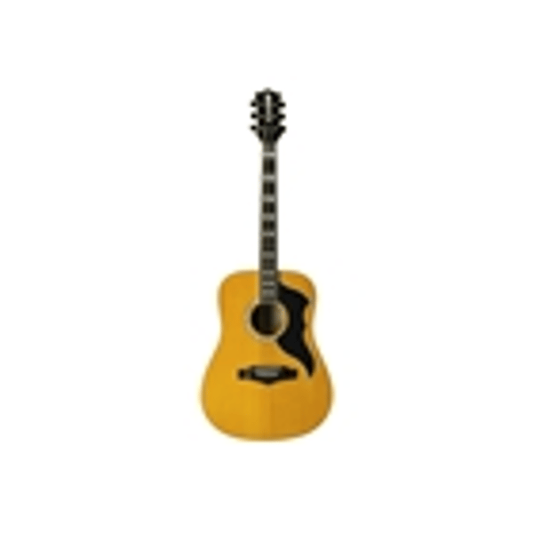Eko Guitars Ranger VI VR Eq Natural Top Stained