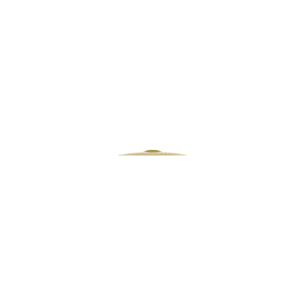 Zildjian ZP14T-14" Planet Z HiHat Top