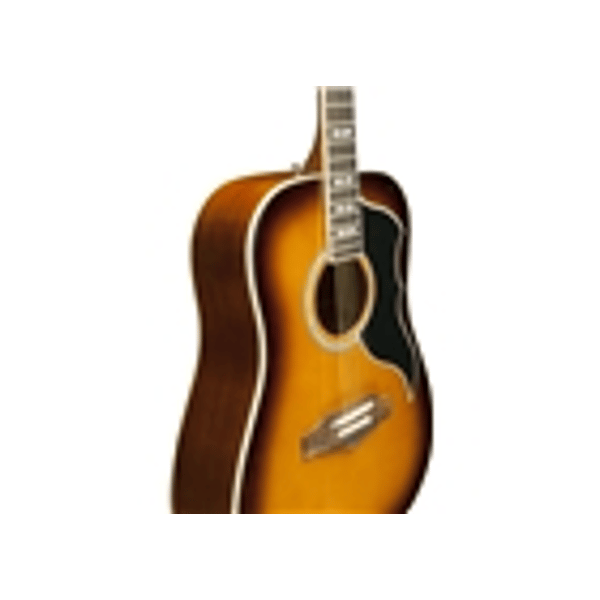 Eko Guitars Ranger VI VR Honey burst