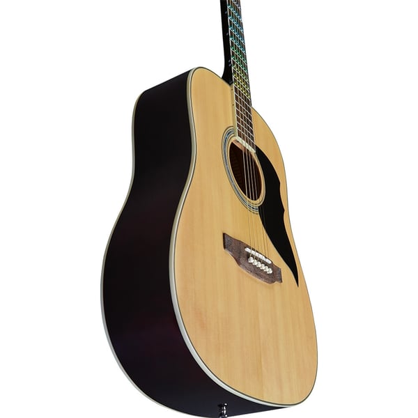 Eko Guitars Ranger Nat Visual Note