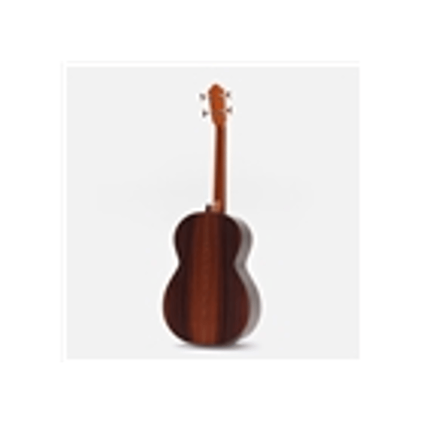 Esteve Octave Bass 4 Chitarra Contrabbasso
