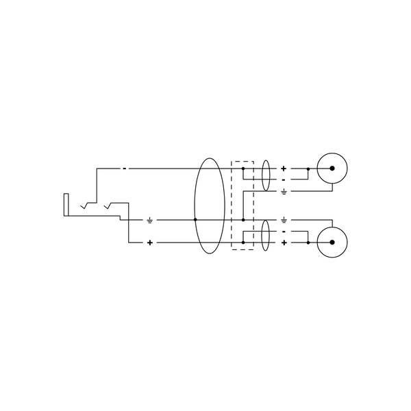 Cordial Elements EY 0.3 YCC