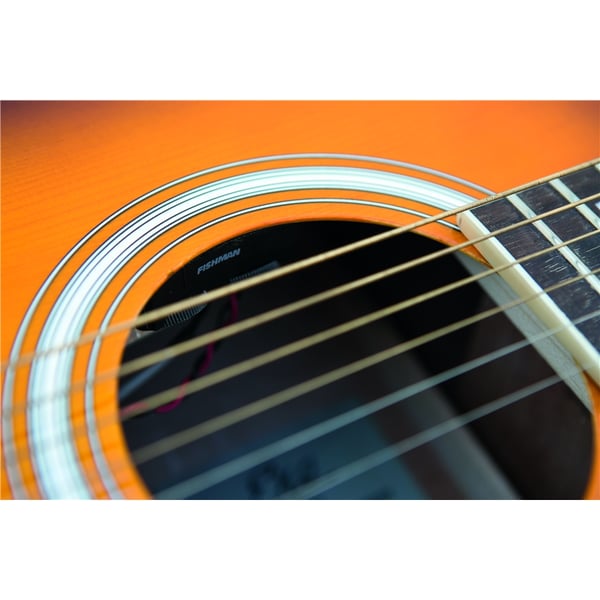 Eko Guitars Ranger VI VR Honey burst