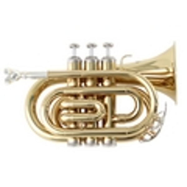SOUNDSATION Tromba pocket in Sib