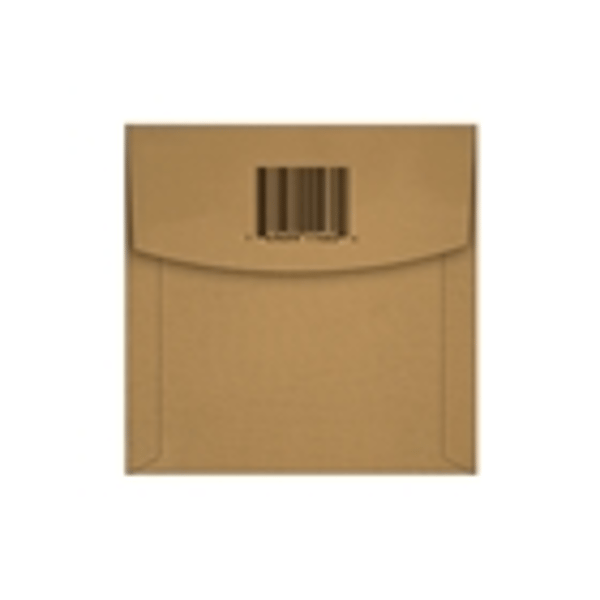 Ernie Ball 1460 Earthwood Phosphor Bronze Wound Bass .095