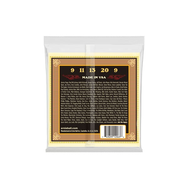 Ernie Ball 2063 Earthwood Banjo Bluegrass Terminate ad Anello Bronzo 80/20