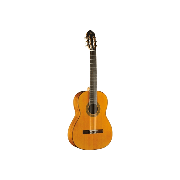 Eko Guitars EKO CHITARRA Vibra 300 Natural