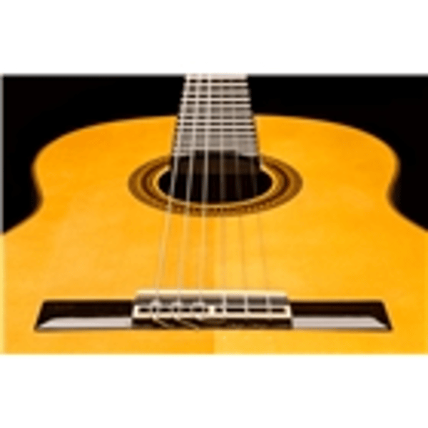 Esteve Adalid Chitarra Flamenca