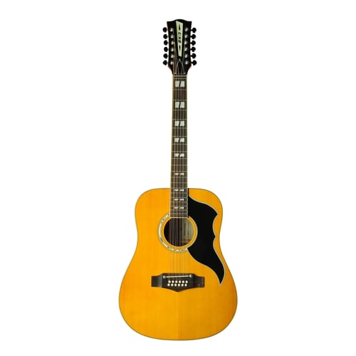 Eko Guitars Ranger XII VR Eq Natural Top Stained