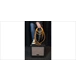 ico 1