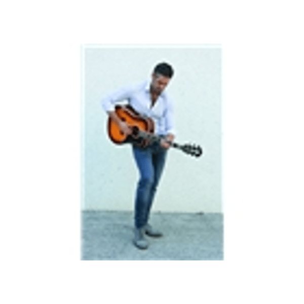 Eko Guitars Ranger VI VR Honey burst