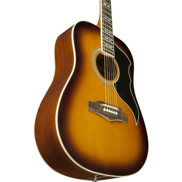 Eko Guitars Ranger VI VR Honey burst