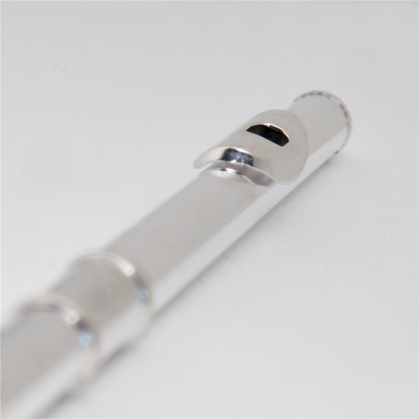 SML Paris VSM FL300E