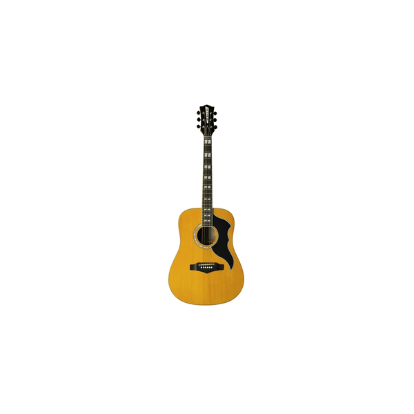 Eko Guitars Ranger VI VR Eq Natural Top Stained