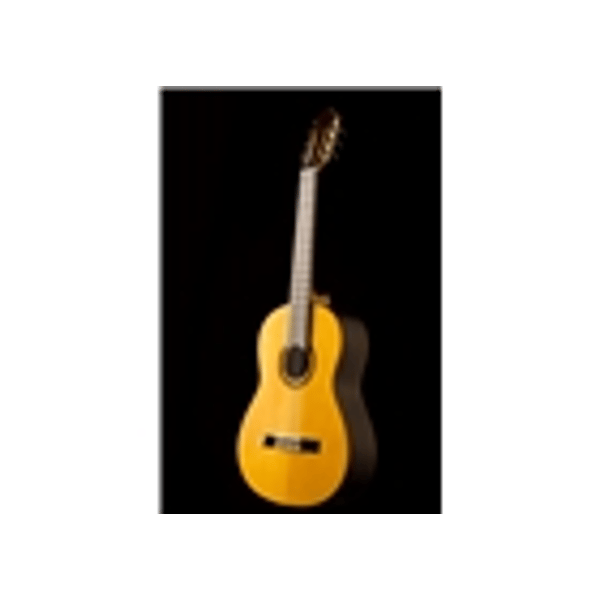 Esteve Adalid Chitarra Flamenca