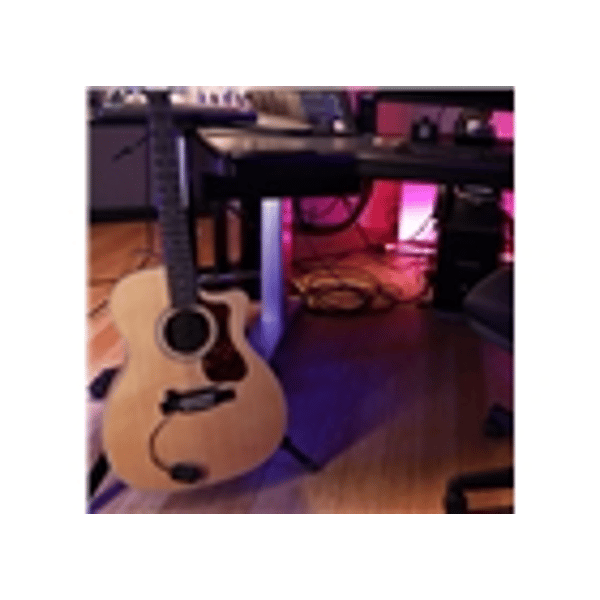 Fishman TriplePlay Express Midi Guitar Controller (PRO-TRP-402)