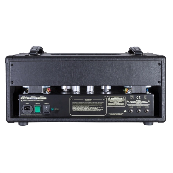 ASHDOWN CTM-100 TESTATA VALVOLARE PER BASSO ELETTRICO 100W