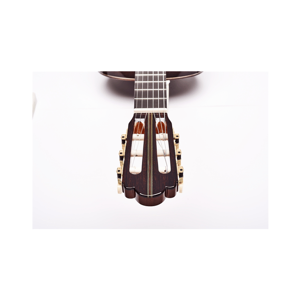 Esteve Hauser Chitarra Classica