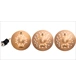 ico 3