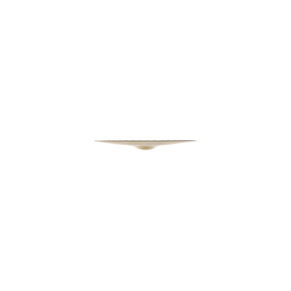 Zildjian A0125-14" A Mastersoundound HiHat - Bottom