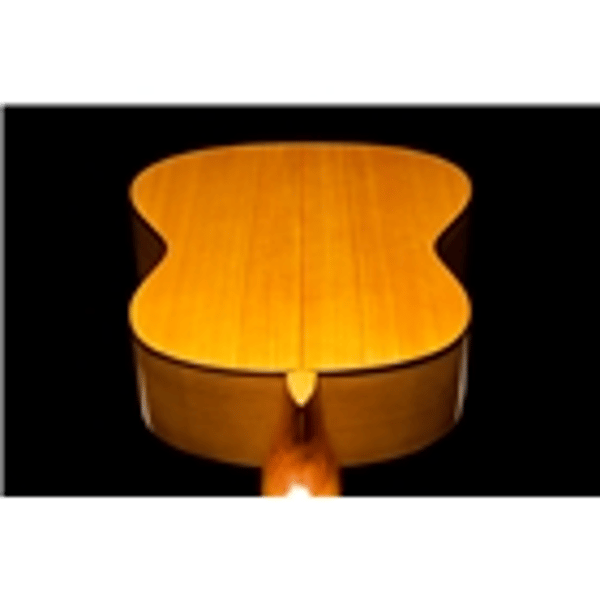 Esteve Adalid Chitarra Flamenca