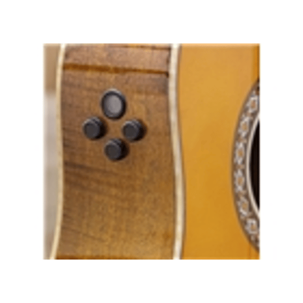 Eko Guitars Ranger Futura