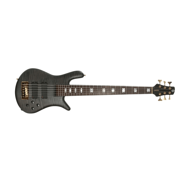 Spector Euro6 LX Trans Black Stain Matte