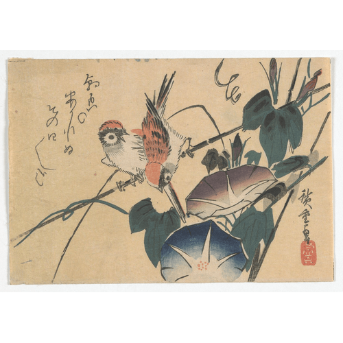 Utagawa Hiroshige Passeri e Gloria del Mattino, Periodo Edo, fine 1830