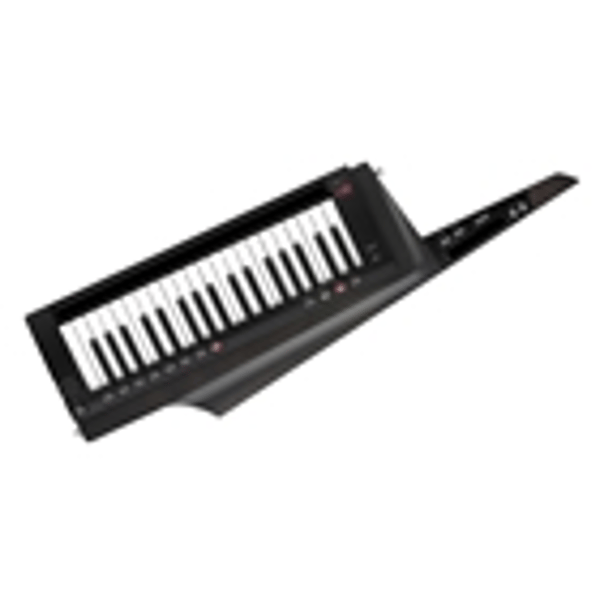 Korg RK-100S2-BLK