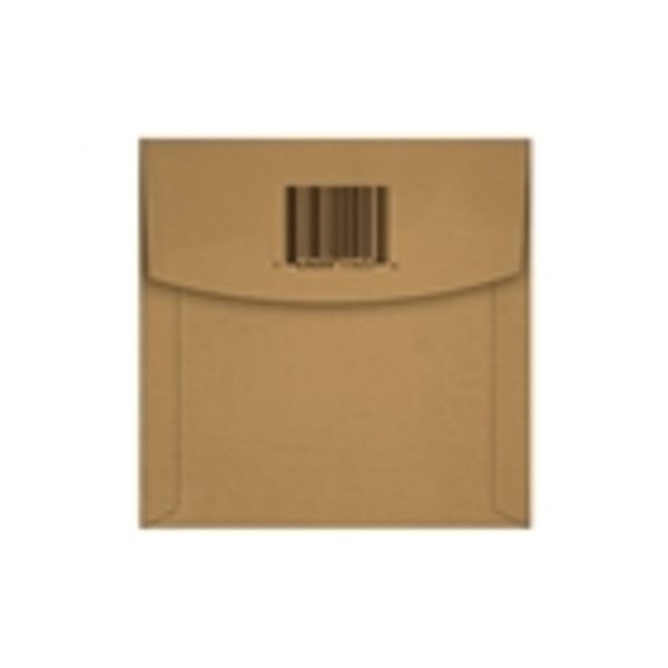 Ernie Ball 1457 Earthwood Phosphor Bronze Wound Bass .045