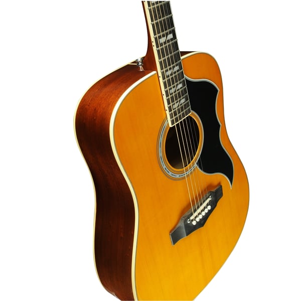 Eko Guitars Ranger VI VR Natural Top Stained