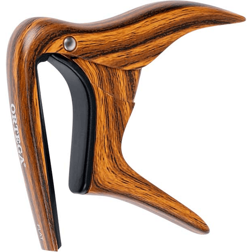 ORTEGA OCAPO-WND