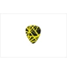 ico 2