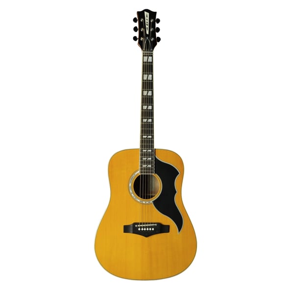 Eko Guitars Ranger VI VR Natural Top Stained