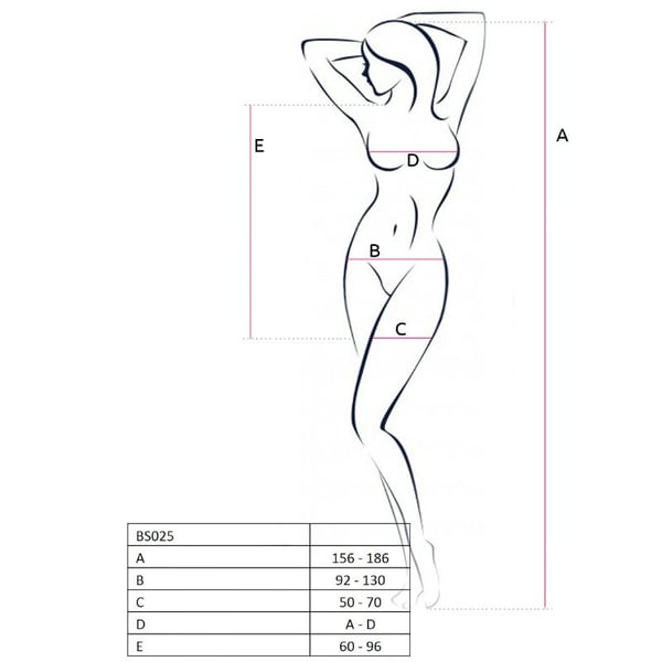 PASSION WOMAN BS025 BODYSTOCKING DRESS STYLE WHITE ONE SIZE