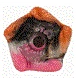 ico 1